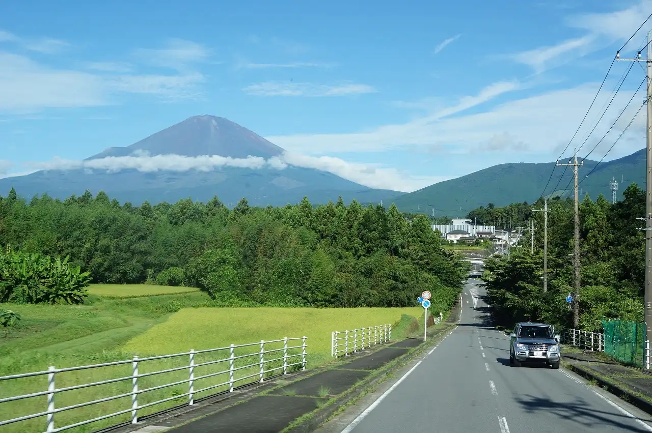 昨日は