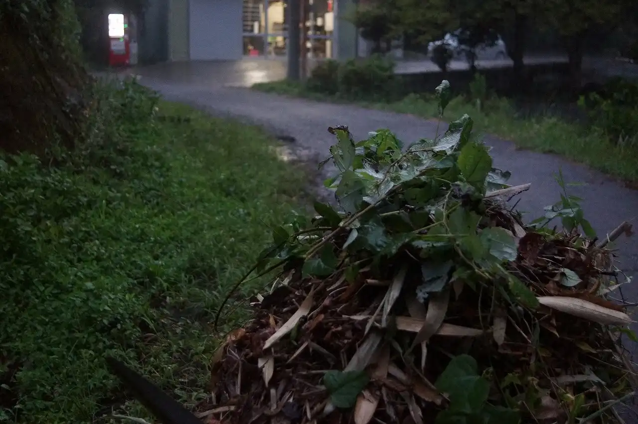 恒例の作業を^^