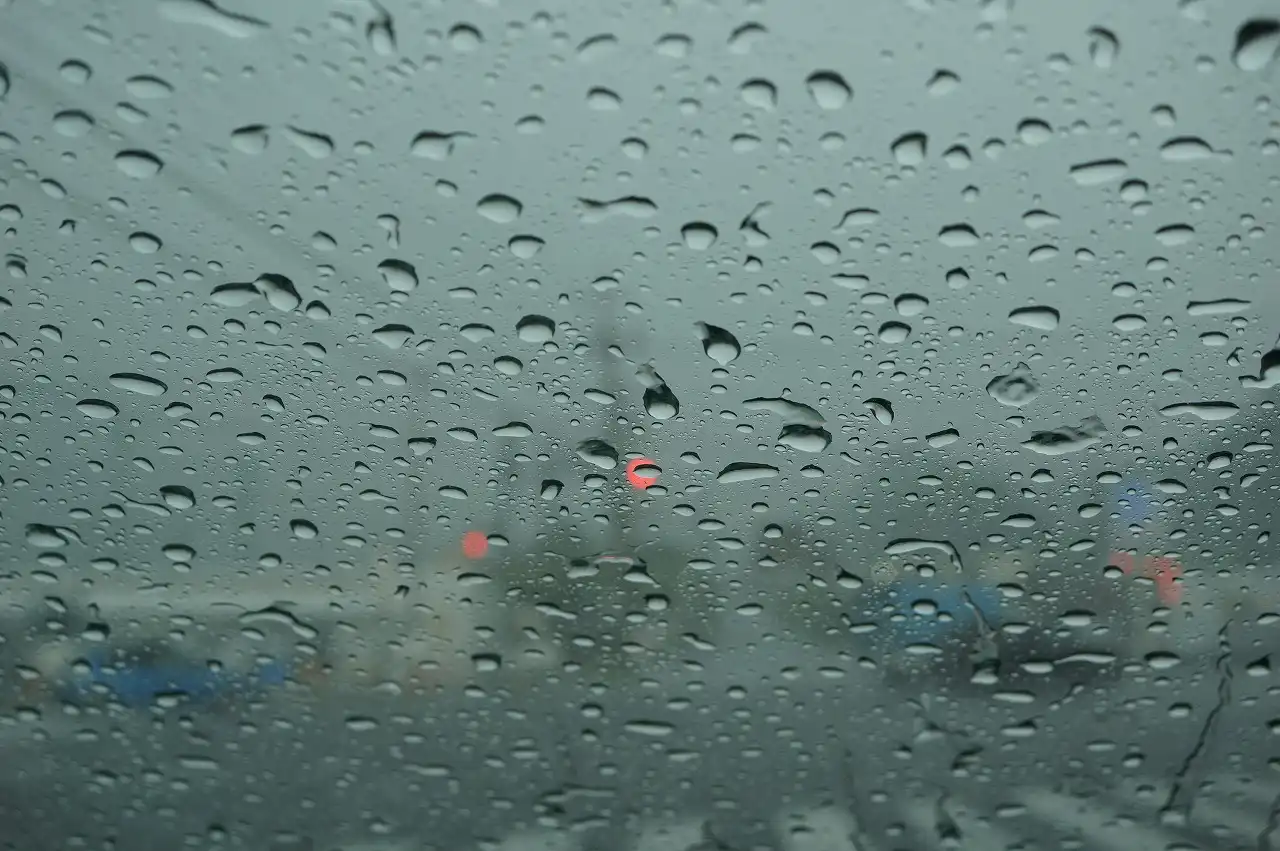 雨も御機嫌です^^
