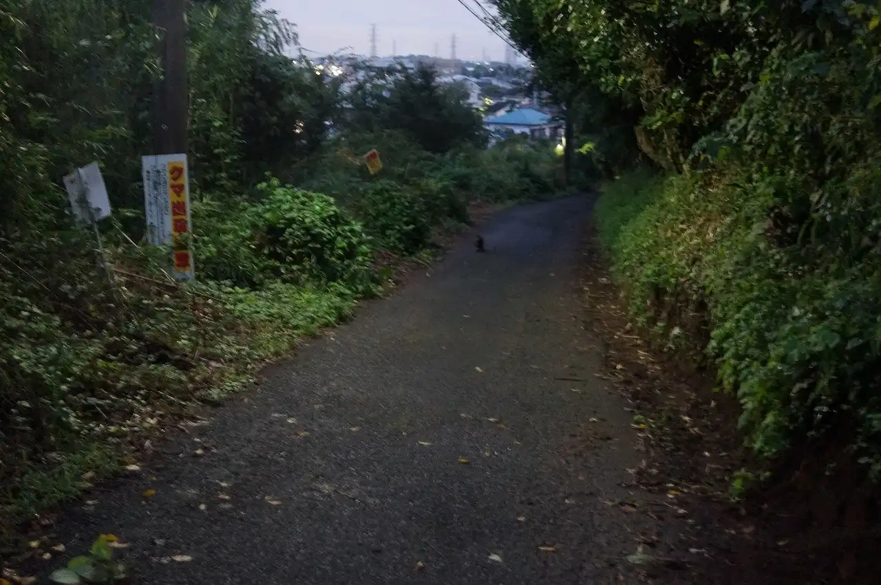 土取作業前に