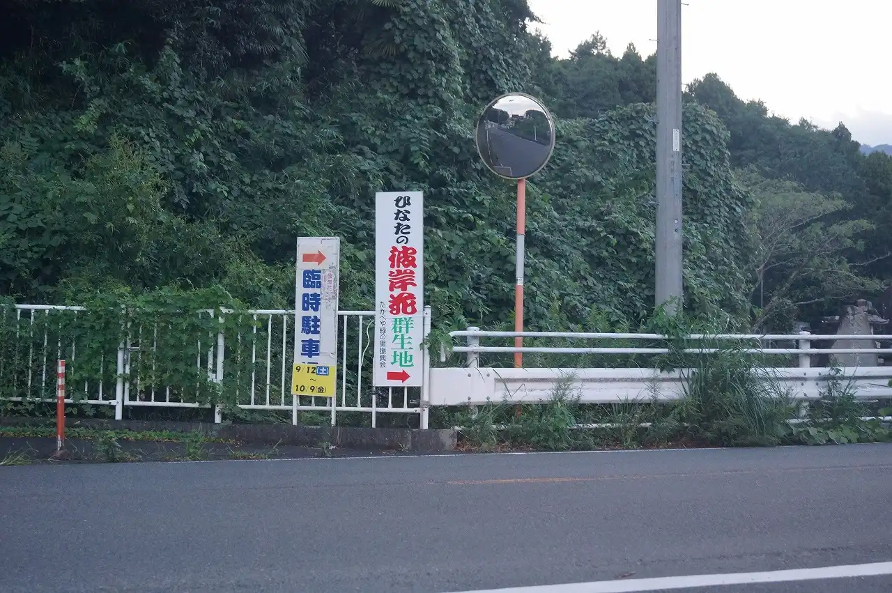 ,帰りにまだあかるいので