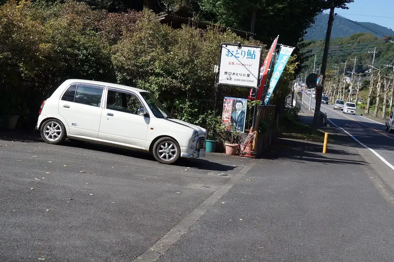 おとり鮎